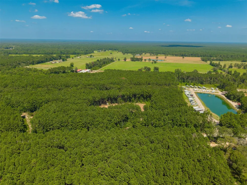 801 Pelican Road Shepherd, TX 77371