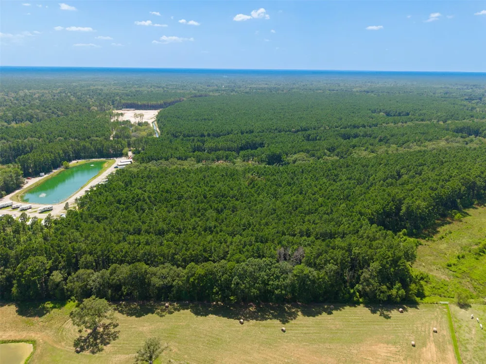 801 Pelican Road Shepherd, TX 77371