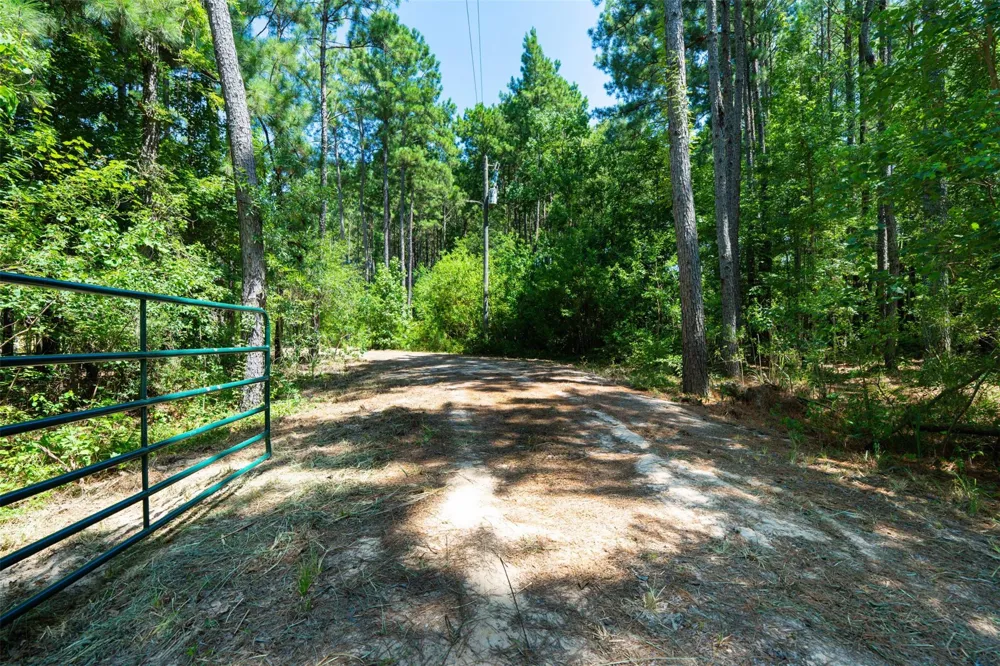 801 Pelican Road Shepherd, TX 77371
