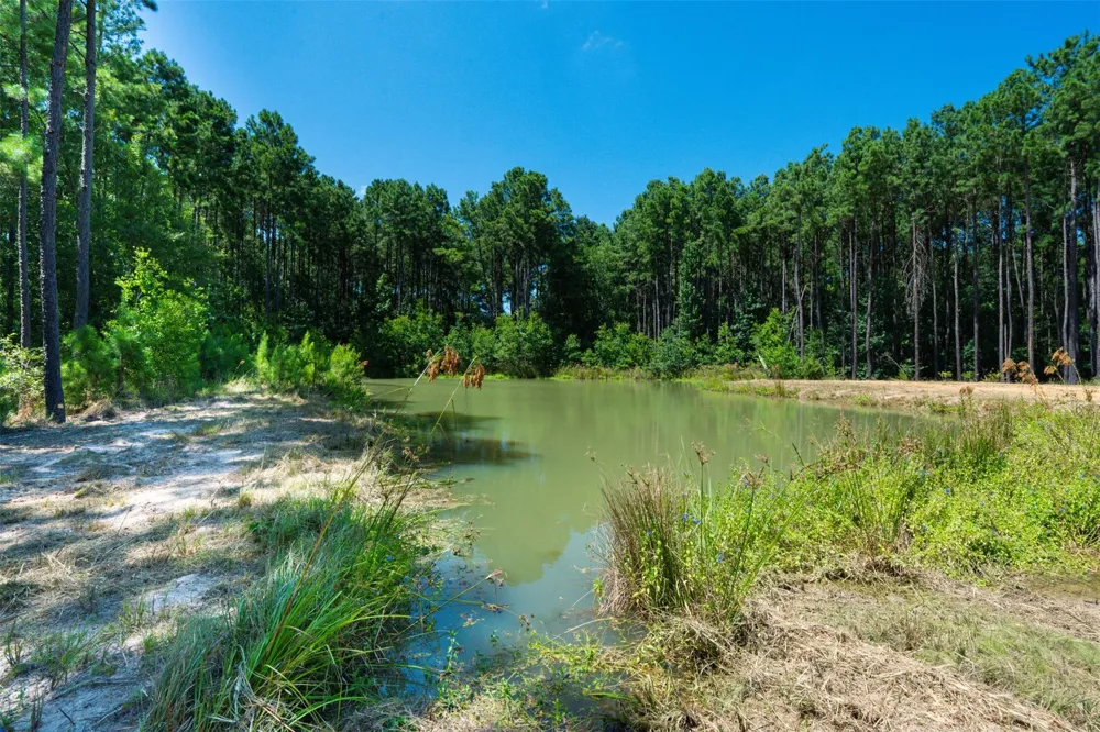801 Pelican Road Shepherd, TX 77371