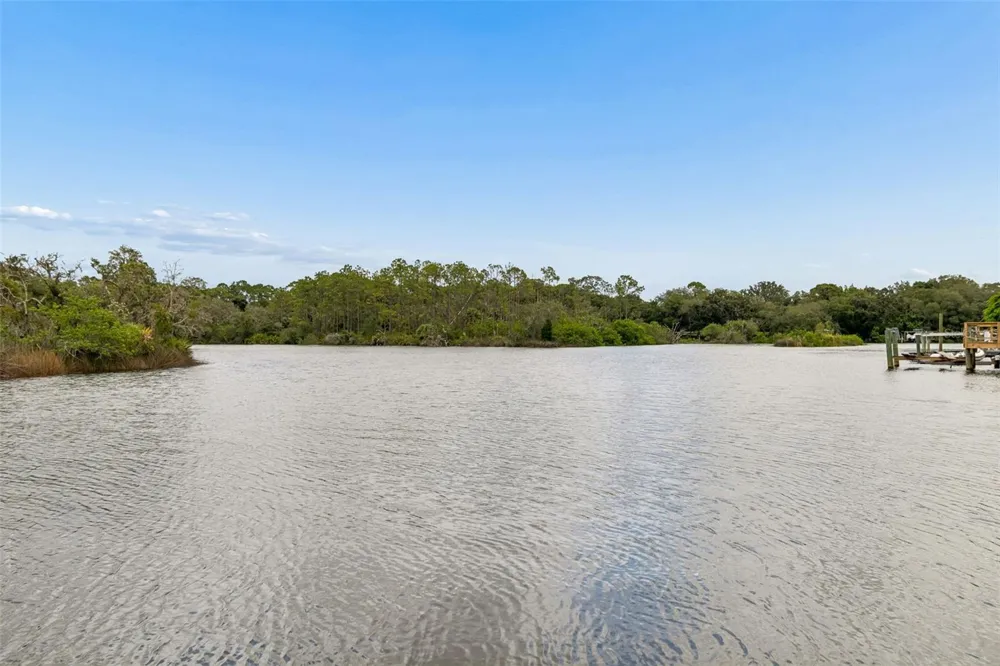 1166 CHANCELLOR DRIVE Holiday, FL 34690