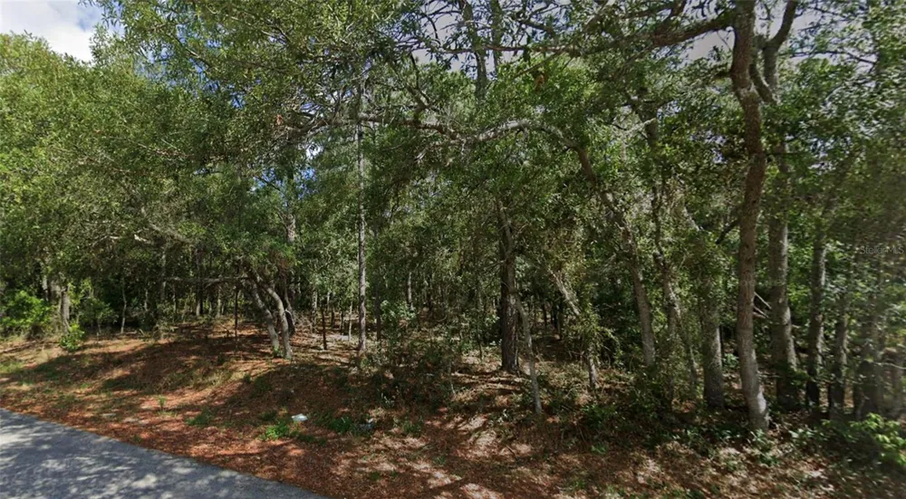 0 TODD TRAIL Spring Hill, FL 34610