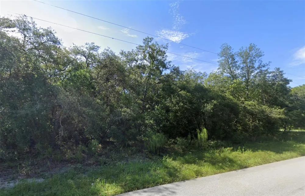 0 AKINS DRIVE Spring Hill, FL 34610