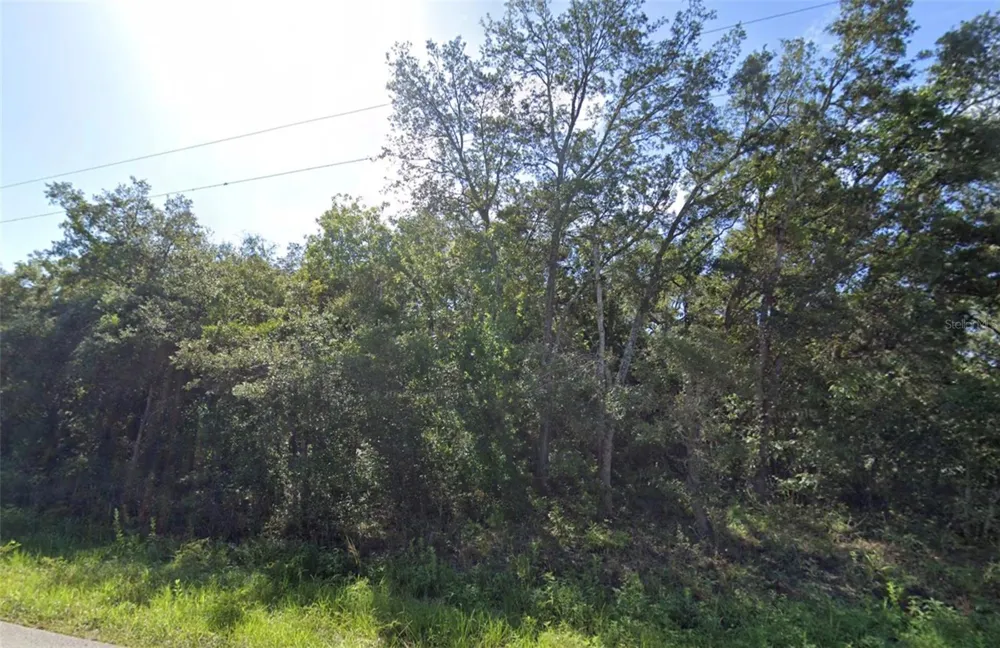 0 AKINS DRIVE Spring Hill, FL 34610