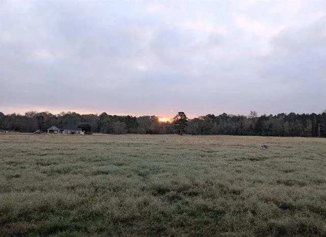 202 Cr 1418 Quitman, TX 75783