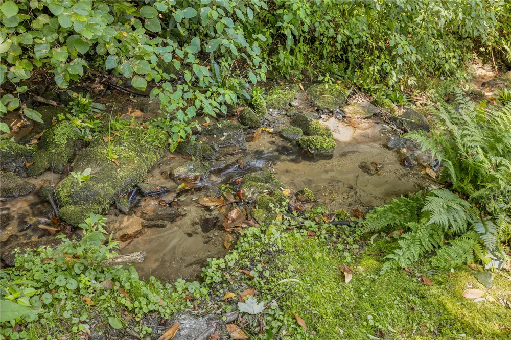 87 Buck Creek Church Road Highlands, NC 28741