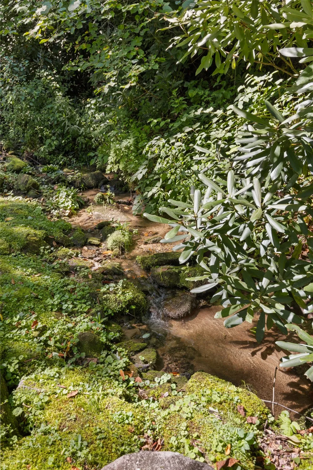 87 Buck Creek Church Road Highlands, NC 28741