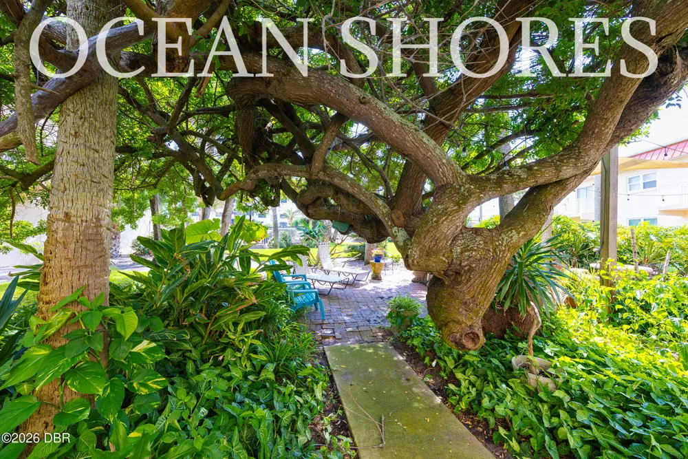 1510 Ocean Shore Boulevard #410 Ormond Beach, FL 32176