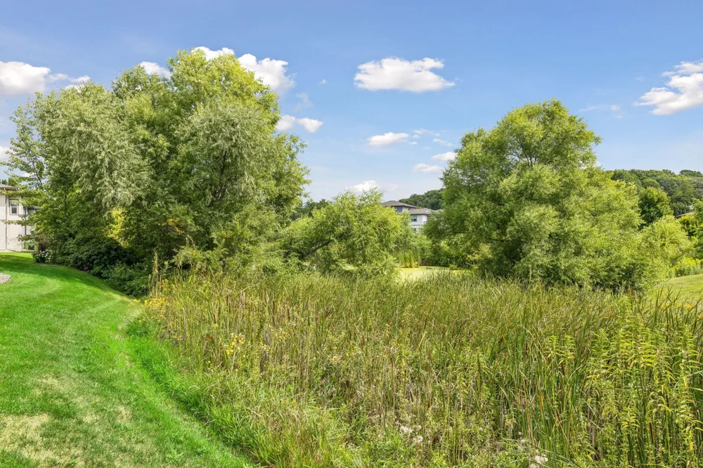 1232 Vernon Drive Carver, MN 55315