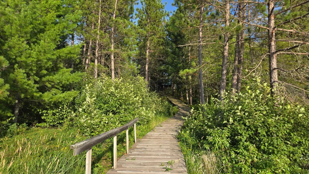 668 East Bay Crane Lake, MN 55725