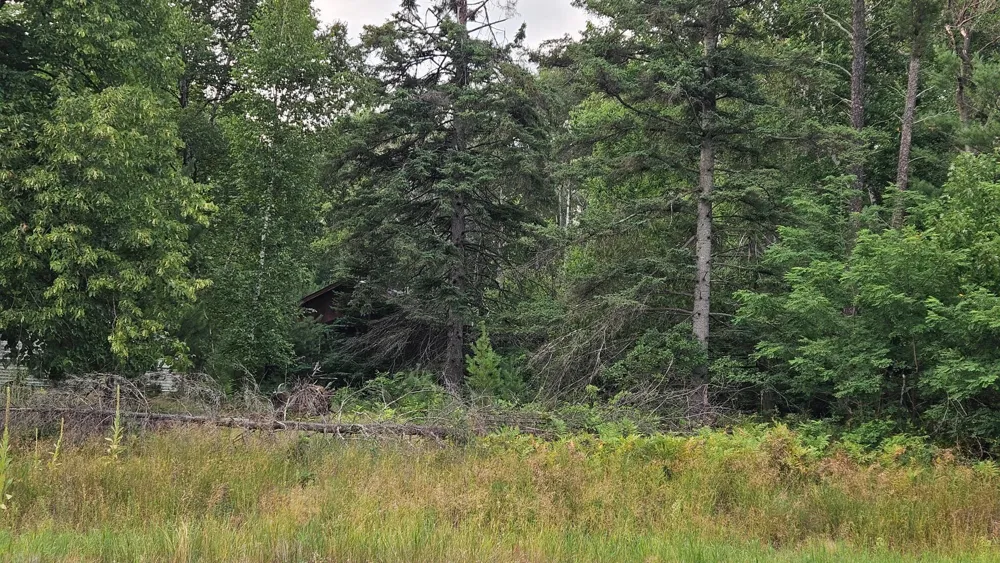 7712 County Road 13 Nisswa, MN 56468