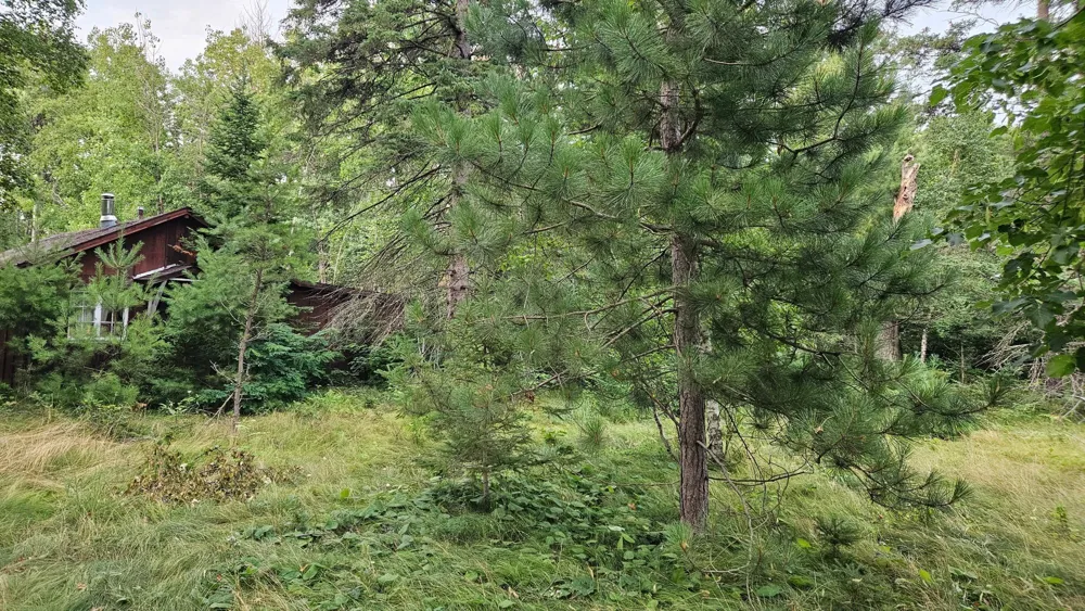 7712 County Road 13 Nisswa, MN 56468