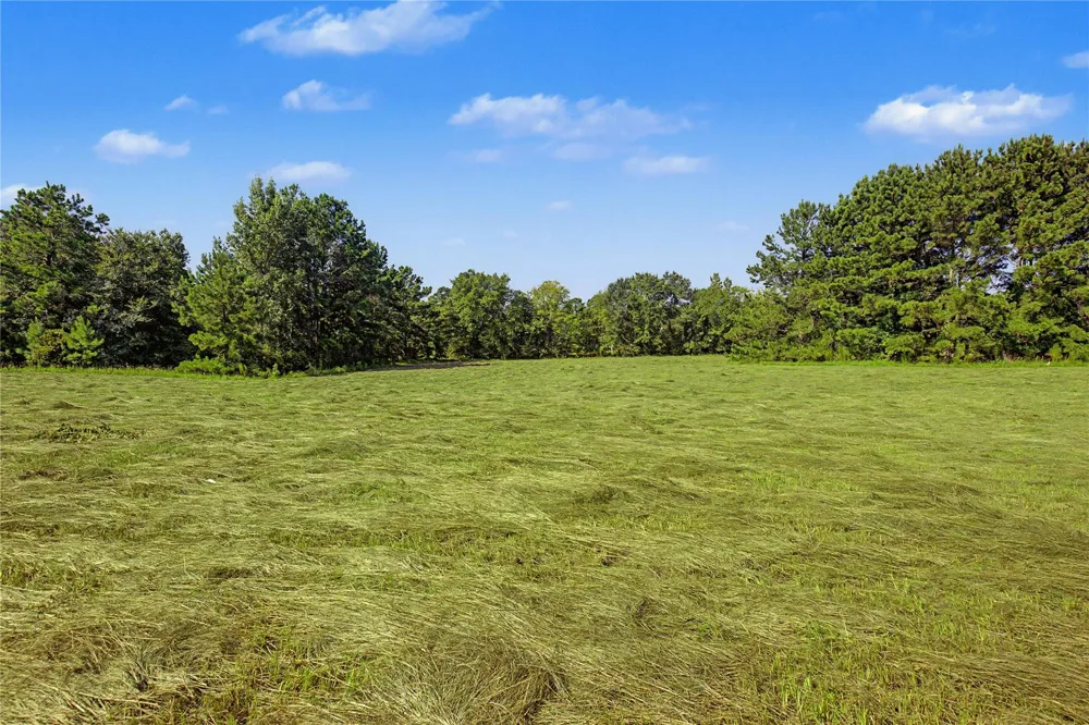 908 Fm 1280 E Lovelady, TX 75851