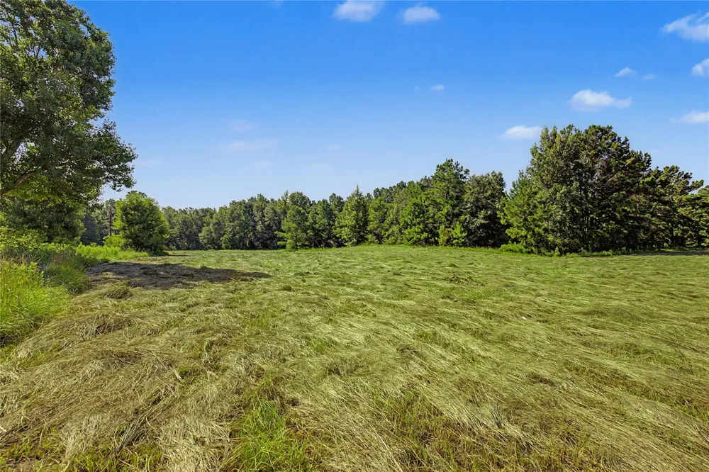 908 Fm 1280 E Lovelady, TX 75851