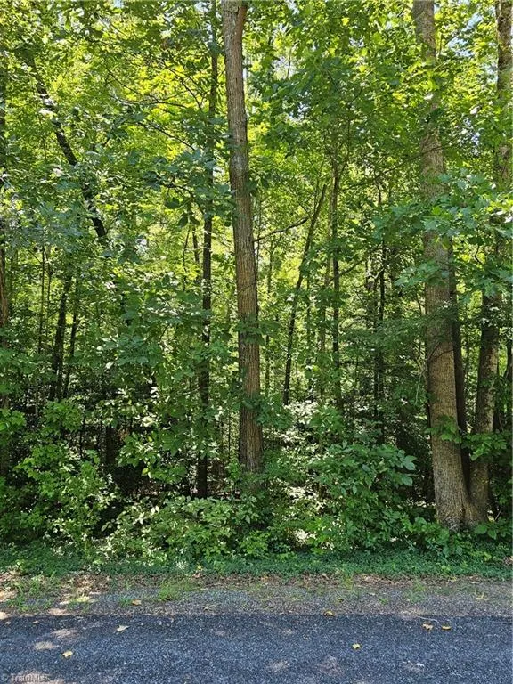 Lot 408 Pine Road Lexington, NC 27292