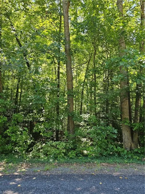 Lot 408 Pine Road