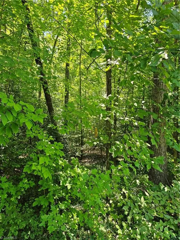 Lot 408 Pine Road Lexington, NC 27292
