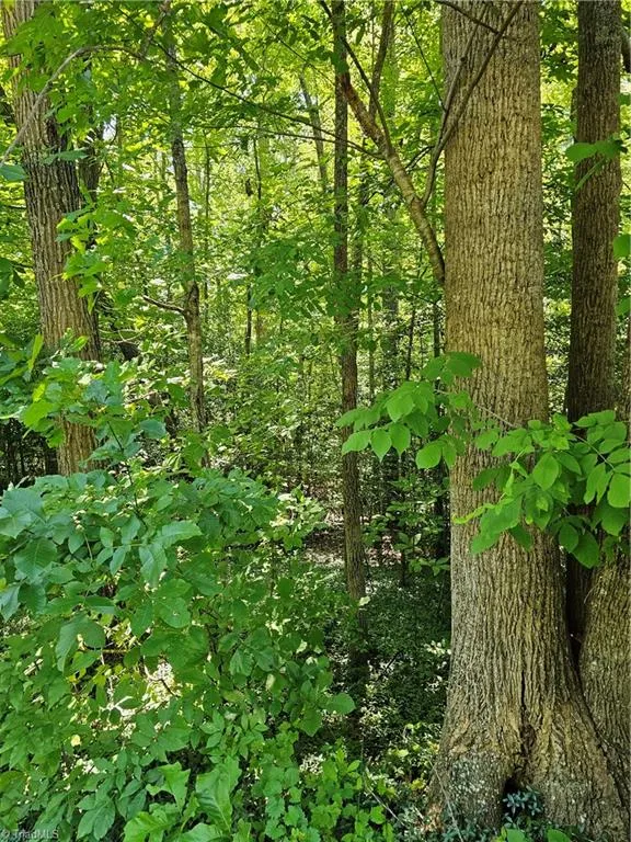Lot 408 Pine Road Lexington, NC 27292
