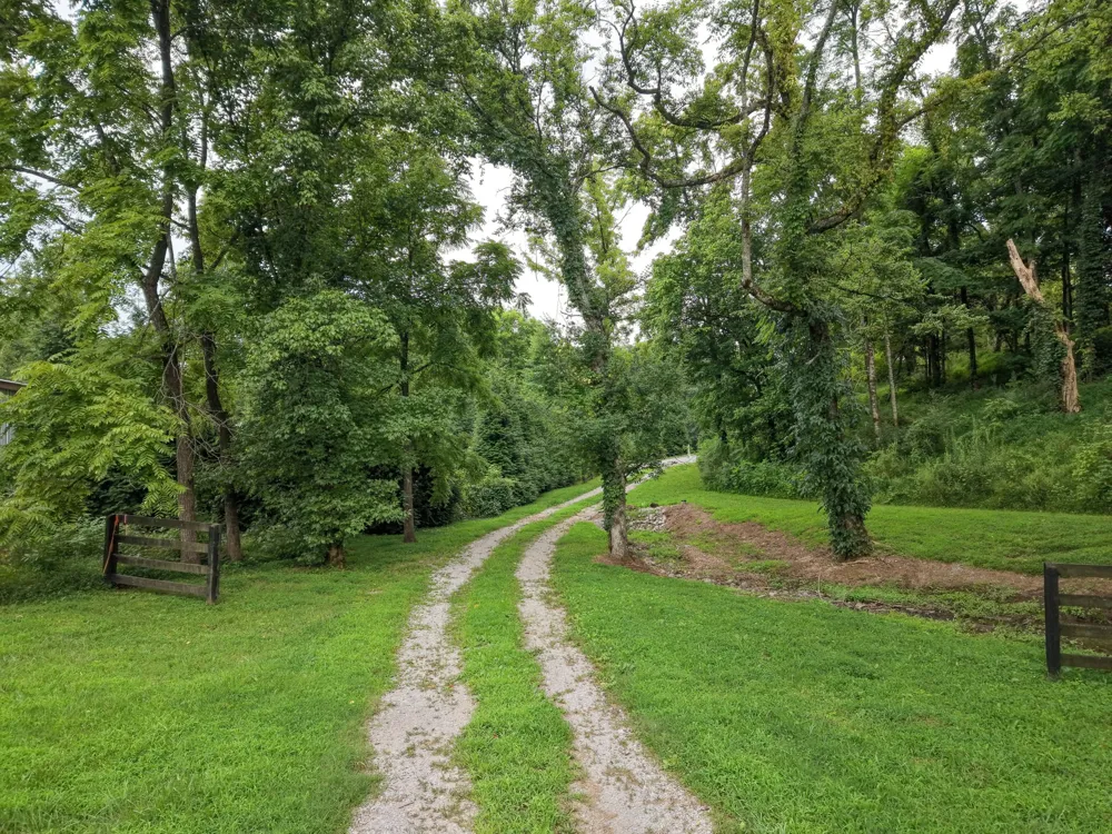 6448 Nathan Smith Rd College Grove, TN 37046