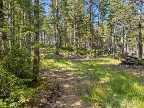 0 TR4 E Mason Lake Road