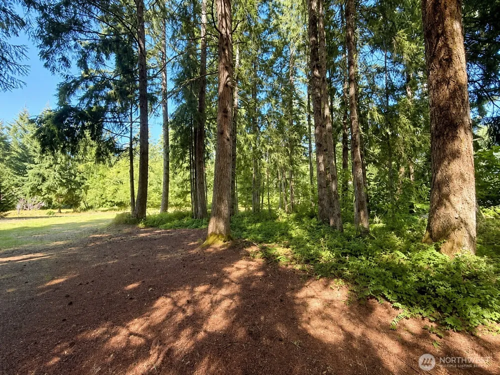 334 Harmon Road Chehalis, WA 98532
