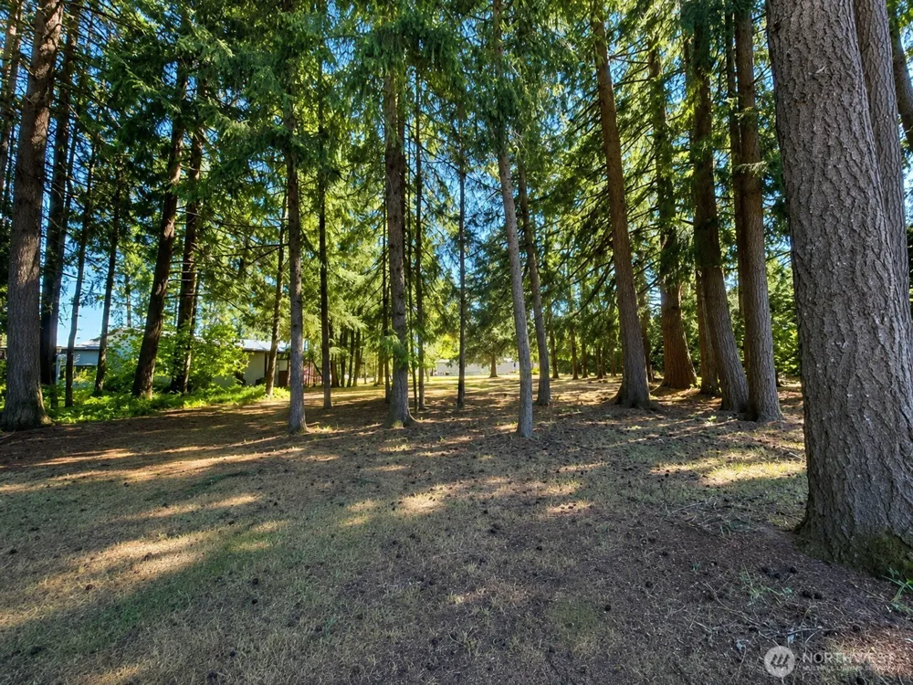 334 Harmon Road Chehalis, WA 98532