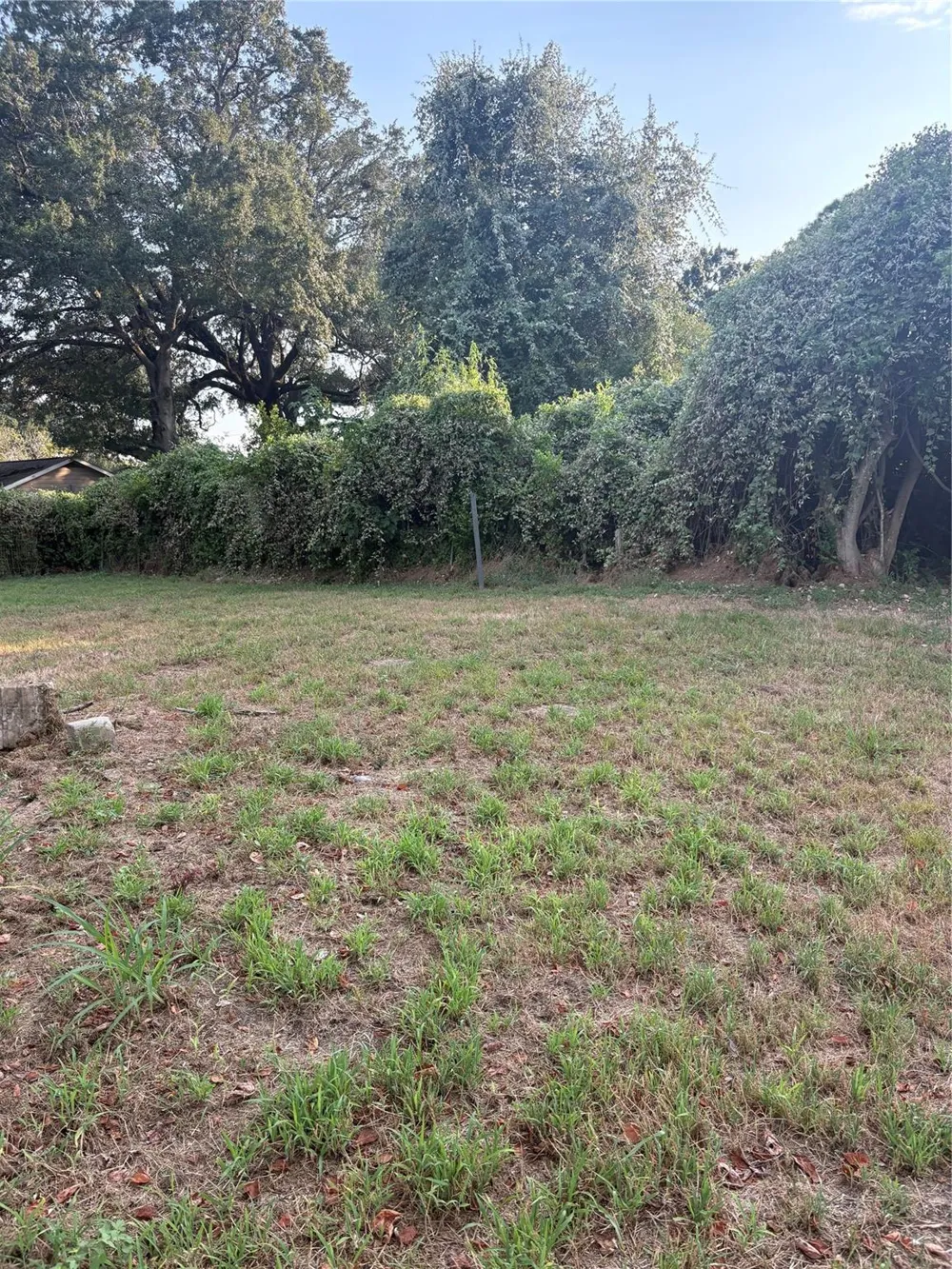 303 Austin Street Richmond, TX 77469