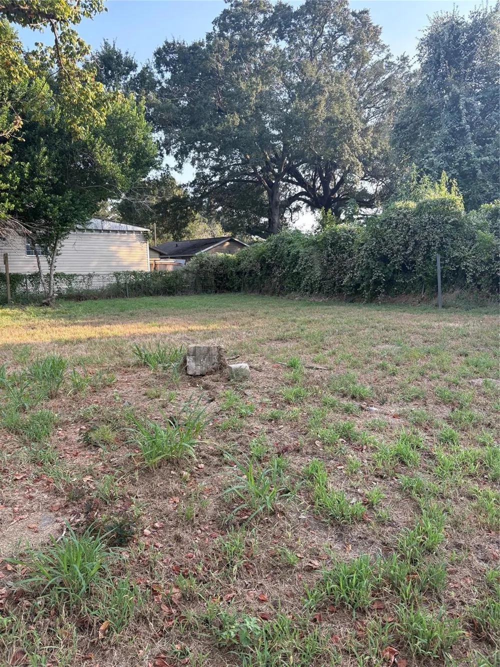 303 Austin Street Richmond, TX 77469