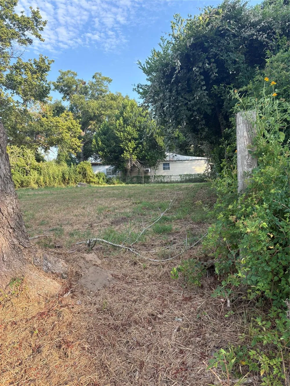 303 Austin Street Richmond, TX 77469