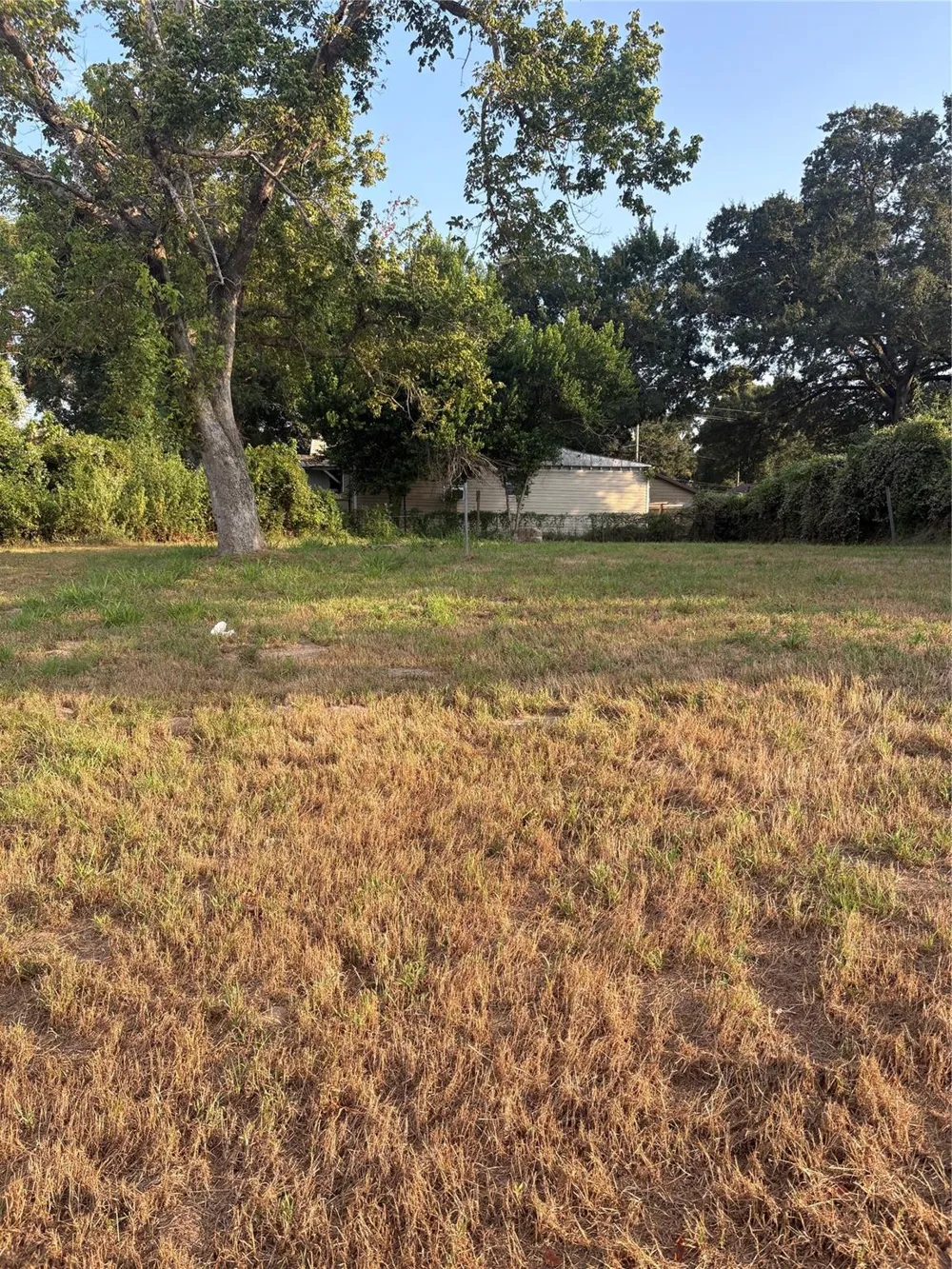 303 Austin Street Richmond, TX 77469