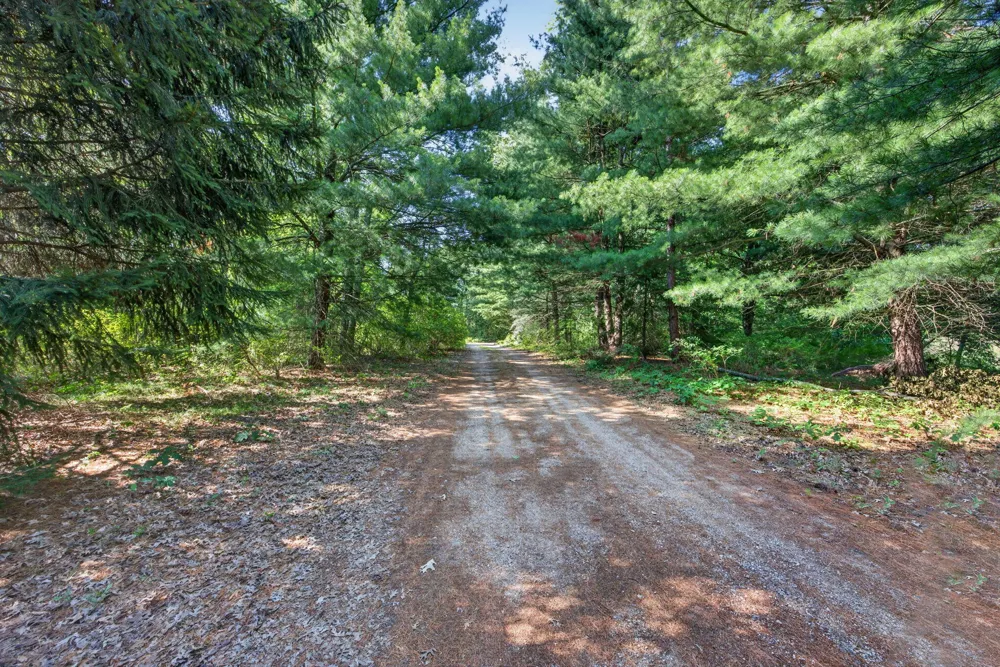 9880 85th Avenue Morton Township, MI 49332