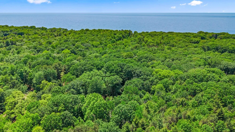 6907 126th Avenue Saugatuck Township, MI 49408