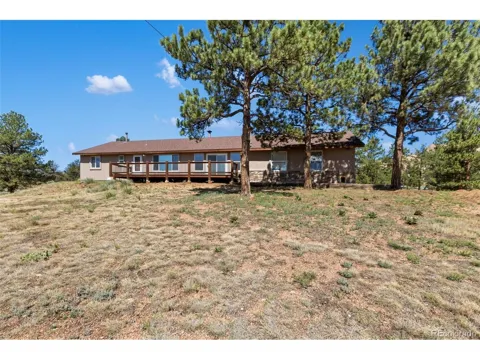 34 Fetlock Circle