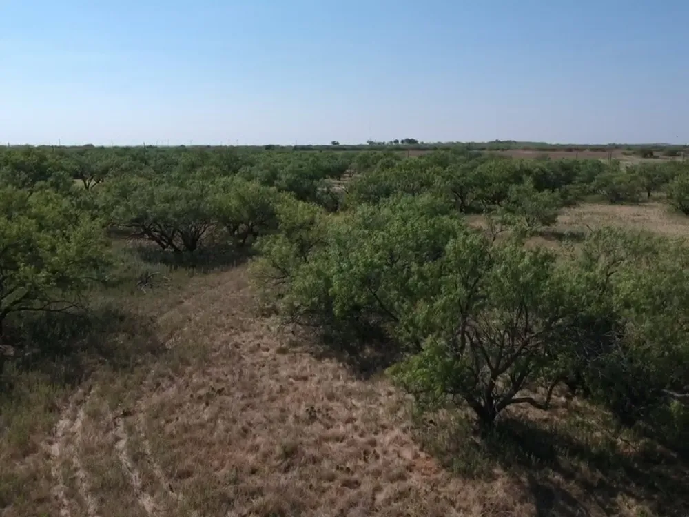 Turtle Hole Road Graham, TX 76450