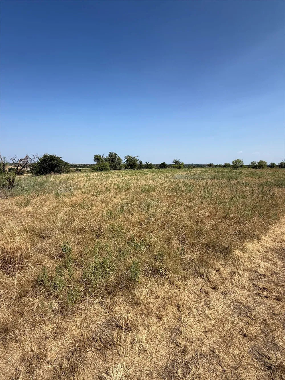 Turtle Hole Road Graham, TX 76450