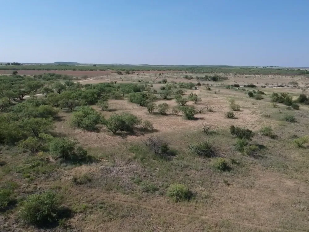 Turtle Hole Road Graham, TX 76450