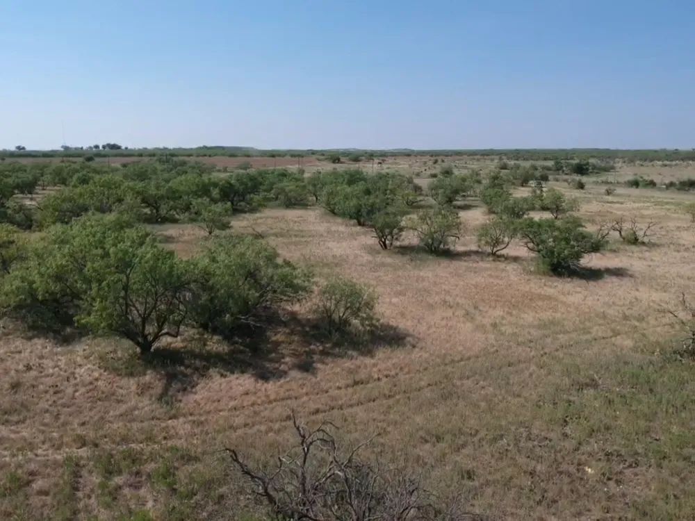 Turtle Hole Road Graham, TX 76450