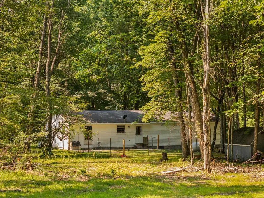 18150 Stronach Dam Road Norman Township, MI 49689