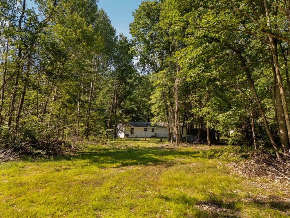 18150 Stronach Dam Road Norman Township, MI 49689