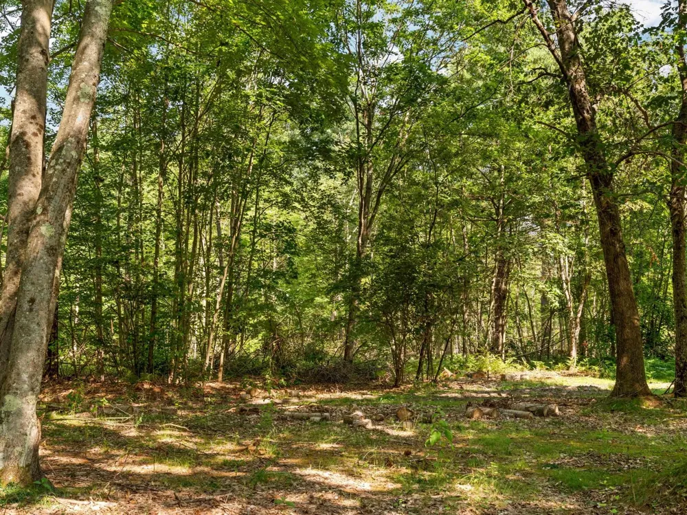 18150 Stronach Dam Road Norman Township, MI 49689