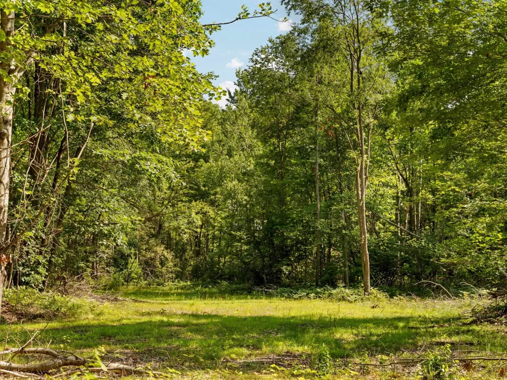 18150 Stronach Dam Road Norman Township, MI 49689
