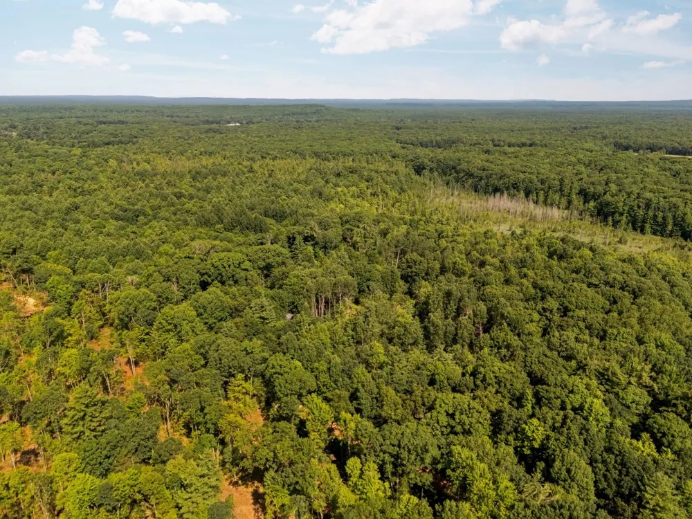 18150 Stronach Dam Road Norman Township, MI 49689