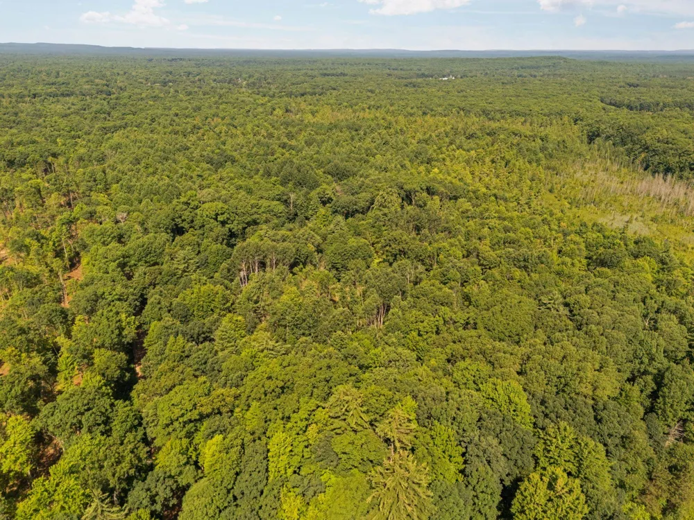 18150 Stronach Dam Road Norman Township, MI 49689