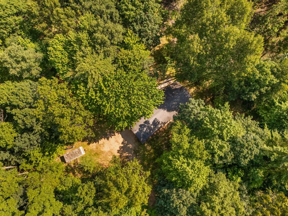 18150 Stronach Dam Road Norman Township, MI 49689