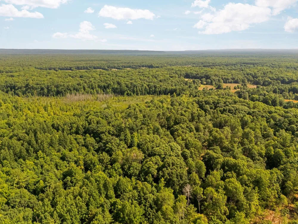 18150 Stronach Dam Road Norman Township, MI 49689