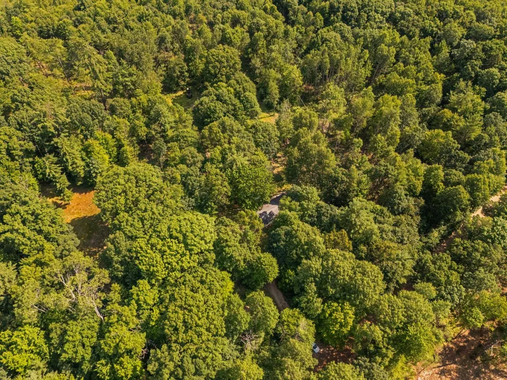 18150 Stronach Dam Road Norman Township, MI 49689