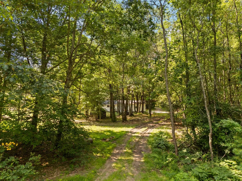 18150 Stronach Dam Road Norman Township, MI 49689
