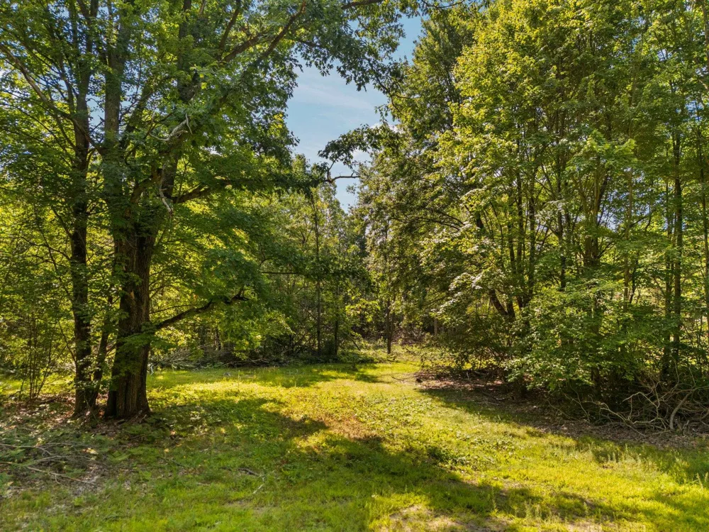 18150 Stronach Dam Road Norman Township, MI 49689