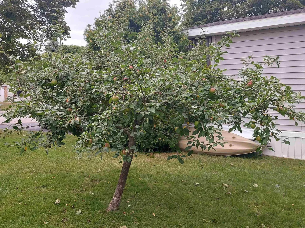 1671 David Place Garfield Charter Township, MI 49686