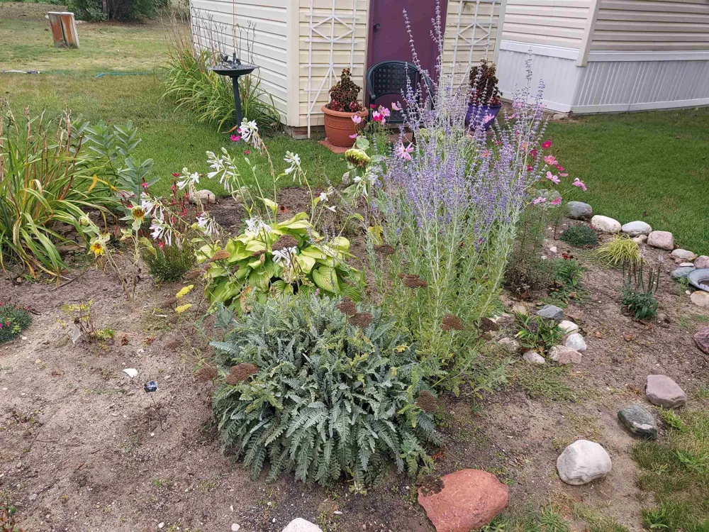 1671 David Place Garfield Charter Township, MI 49686